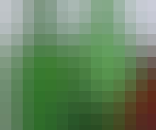 ACMurderMethodsBottlesRE