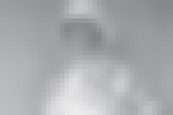 Cardiff-Museum-exhibition-website