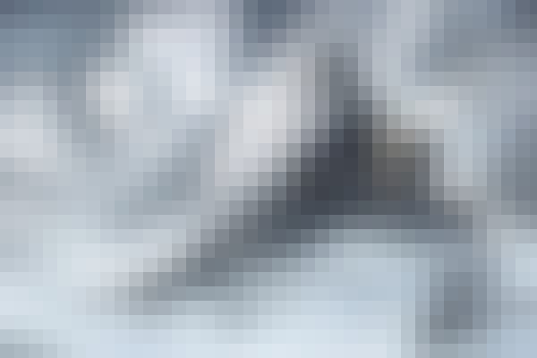 Illustrated Motoe Article