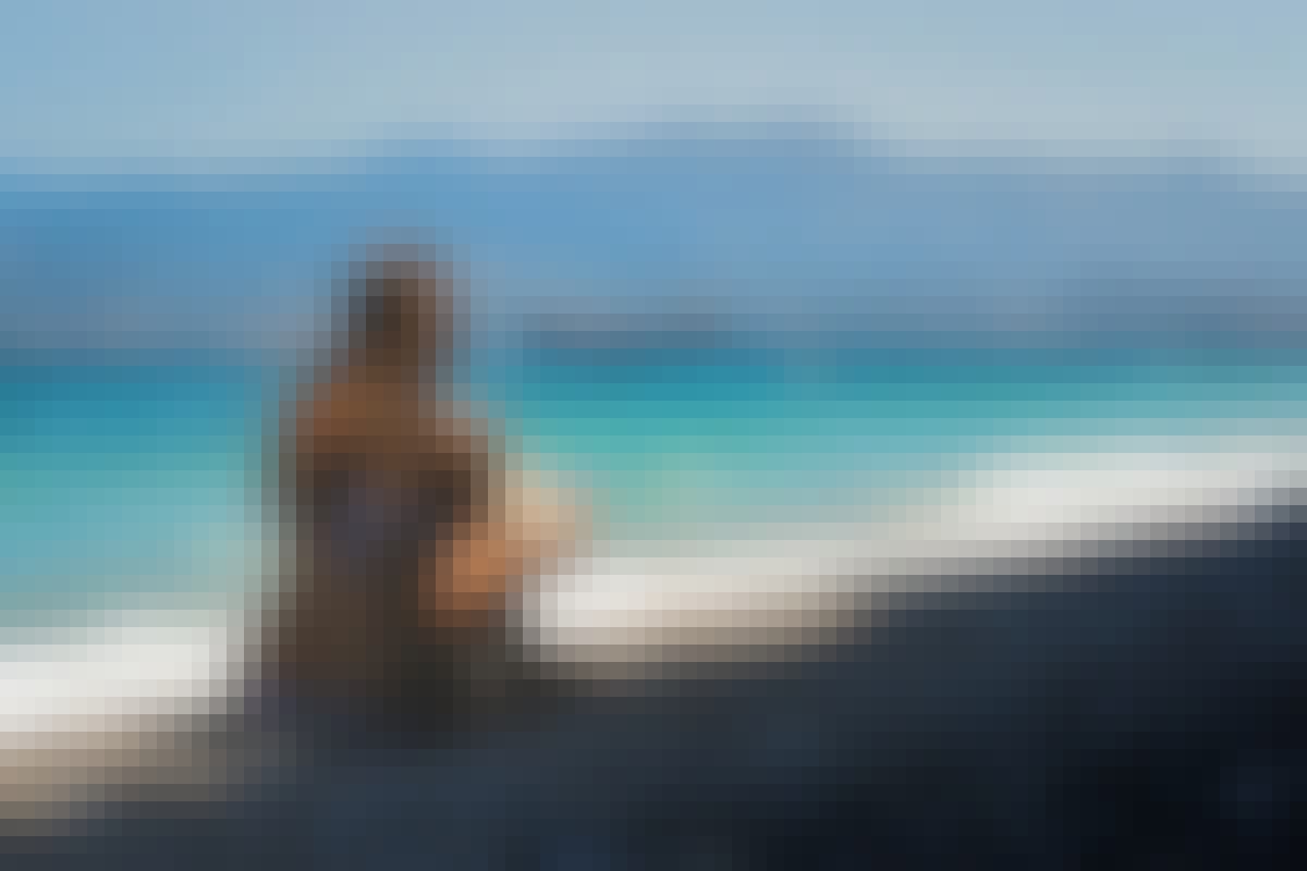 Inline Summer Reads B