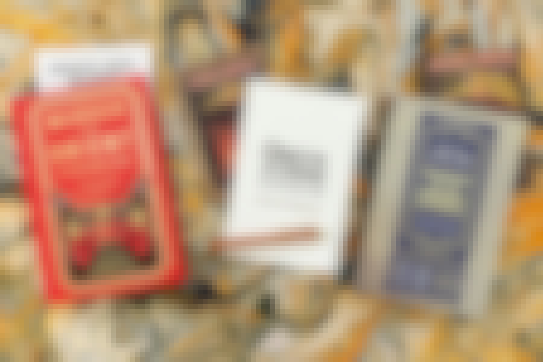 Inline Thumbnail MOTOE26 LR