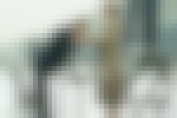 International Release Dates For Murder On The Orient Express News