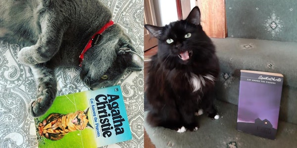 Cats with Christie: A Puzzle