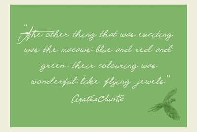 Landscape Green Postcard Zoom