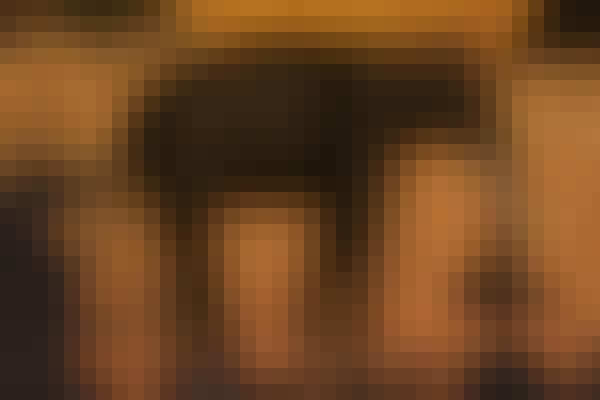 Port-Eliot-Festival-news-story