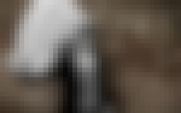 Promo boy for website