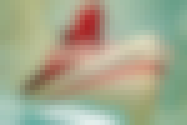 The-Man-in-the-Brown-Suit-BOTM-2