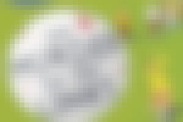 The-Murder-on-the-Links-news