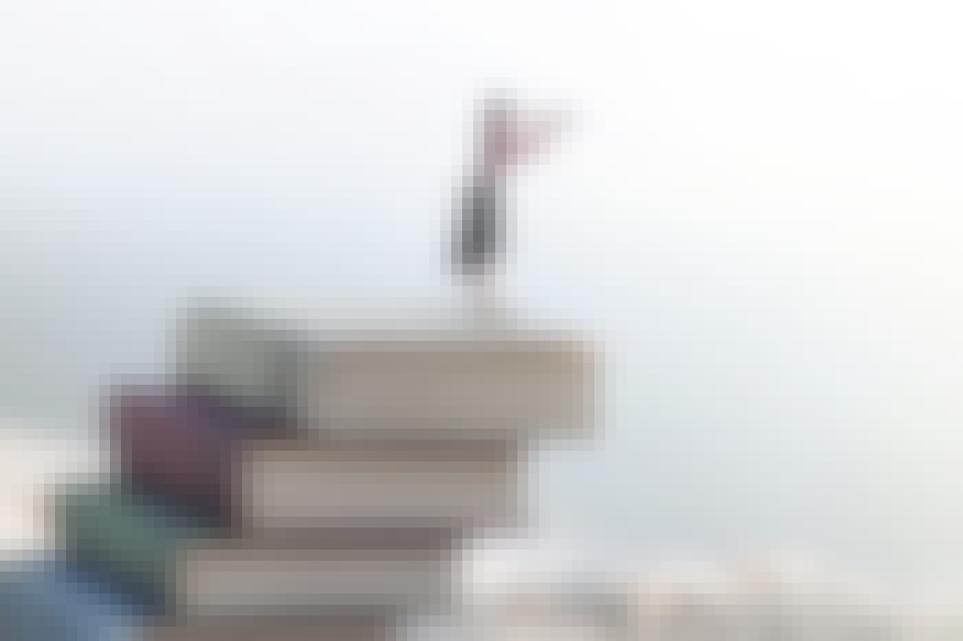 Thumbnail Everyday Inspiration Colour