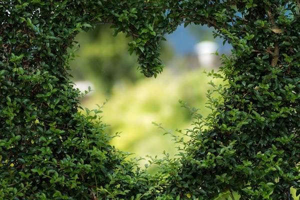 Love in Agatha Christie: A Quiz