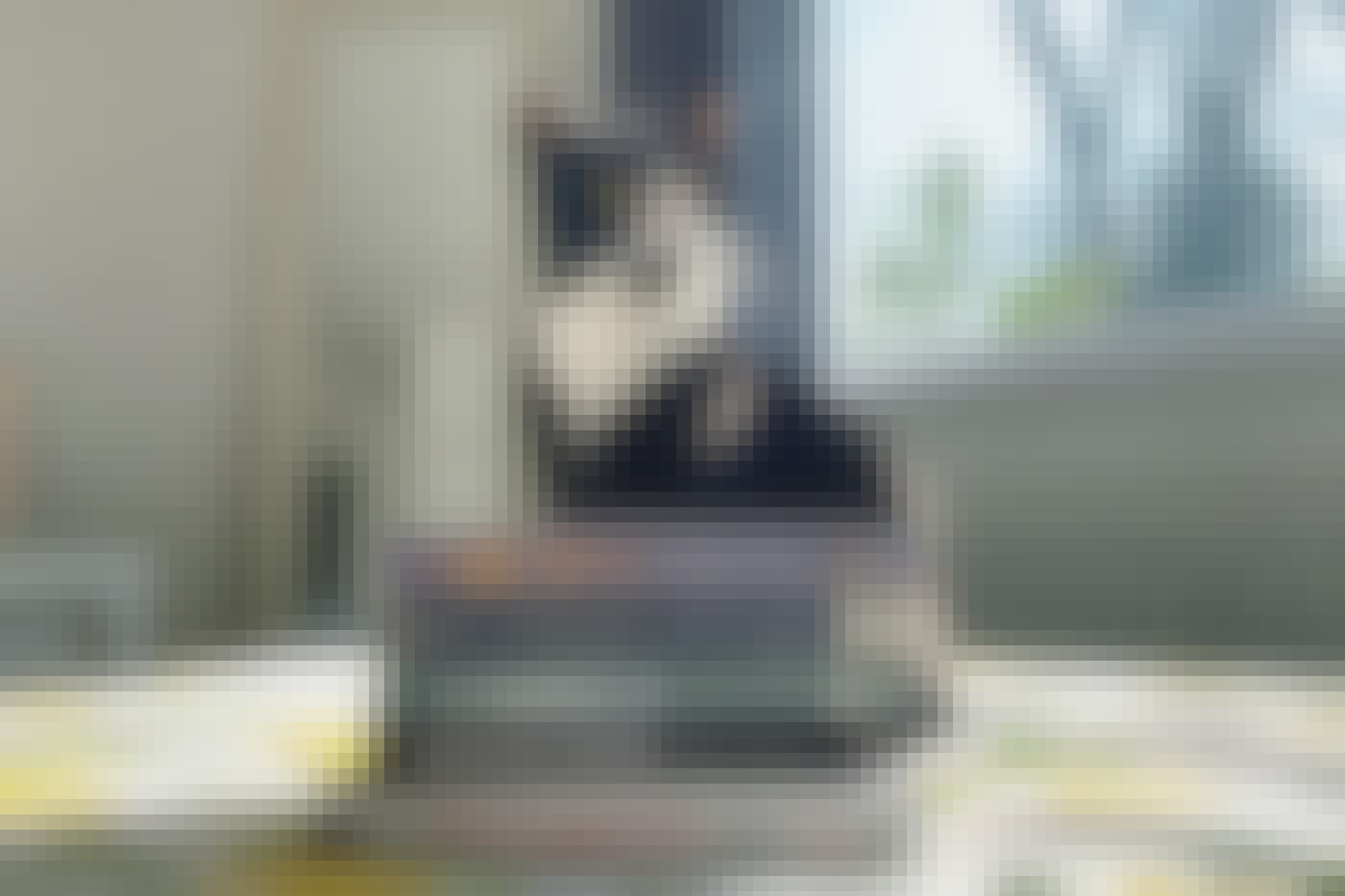 Thumbnail Murder She Read Harvey