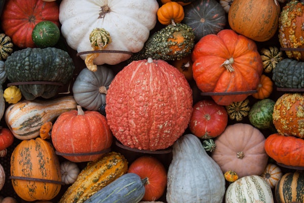 Hallowe'en Party Prep: A Puzzle