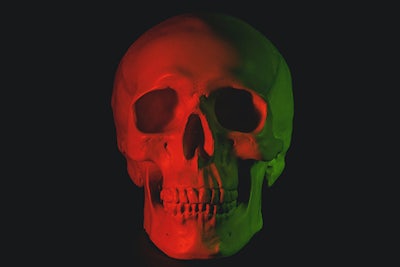 Thumbnail Skull